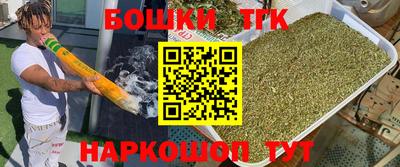 тгк Будённовск