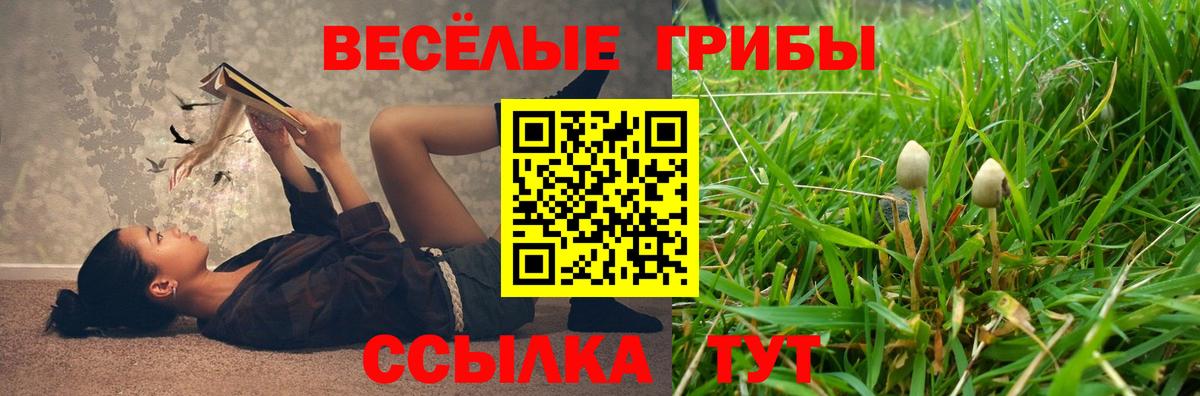 Псилоцибиновые грибы Psilocybine cubensis Корсаков