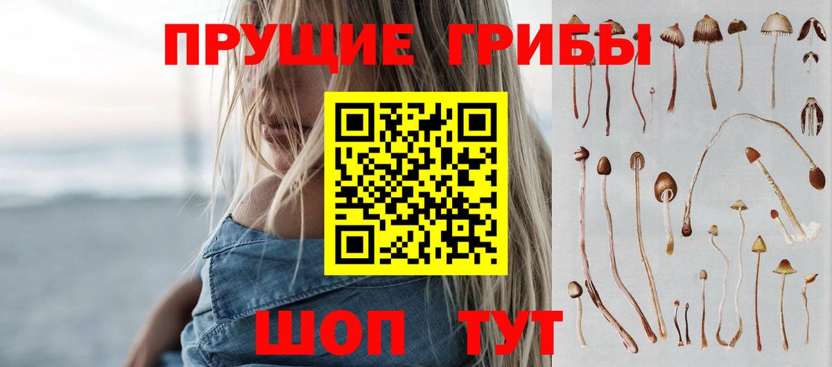 где купить наркотик  Вход с VPN  Корсаков  Псилоцибиновые грибы Psilocybe 